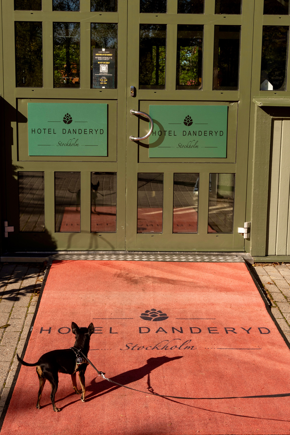 Röda mattan utrullad framför ingången till Hotel Danderyd.