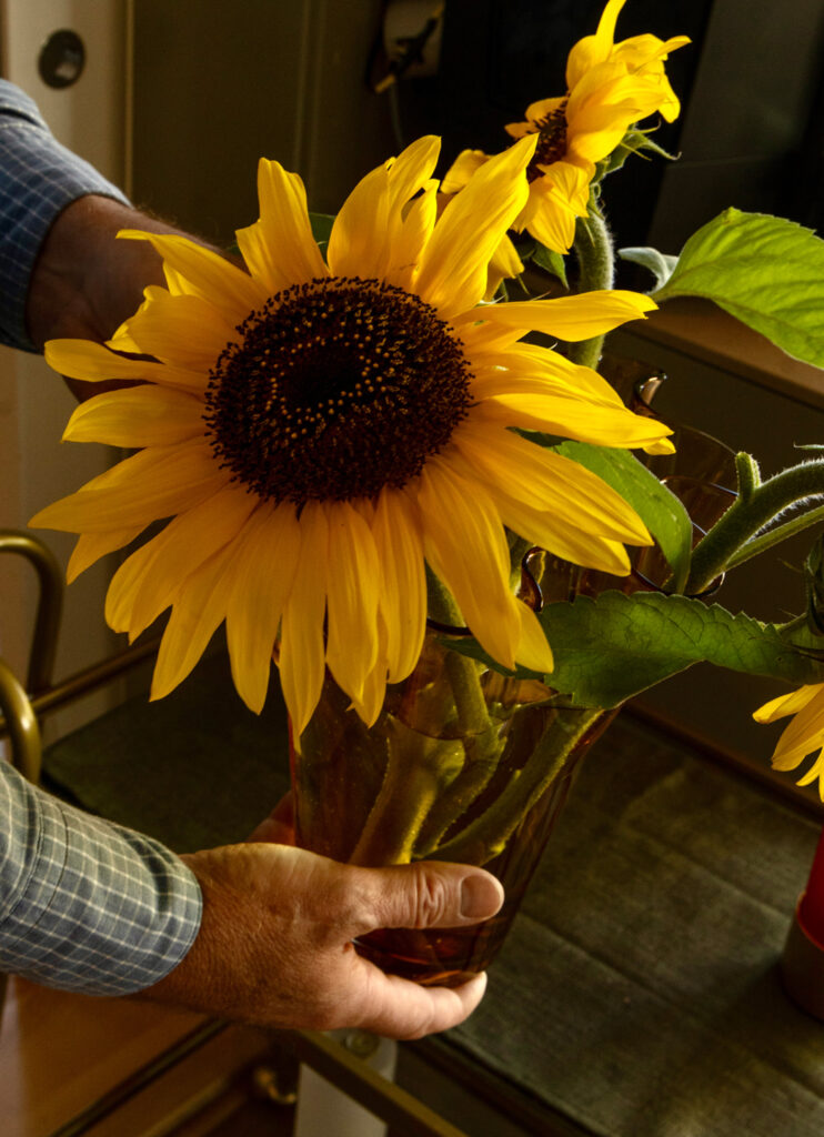 Blommor